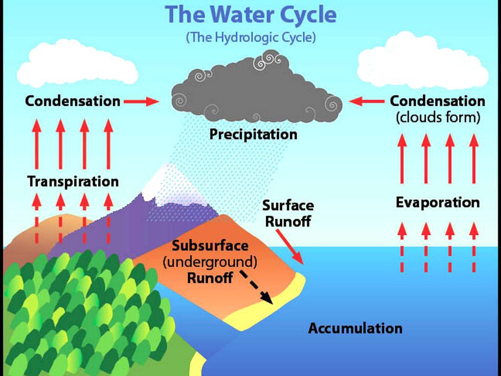 Science  U2013 The Water Cycle